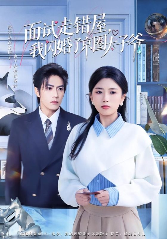 《面试走错屋，我闪婚了京圈太子爷》-VIP部落