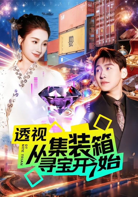 《透视从集装箱寻宝开始》-VIP部落