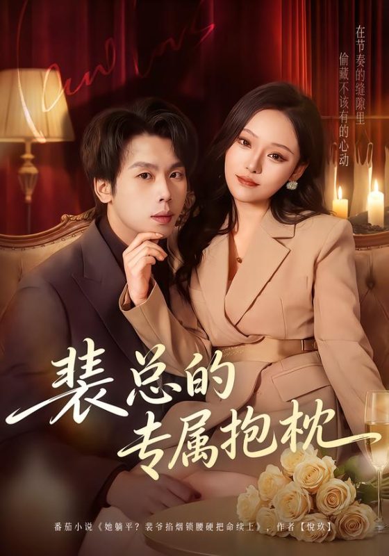 《裴总的专属抱枕》-VIP部落