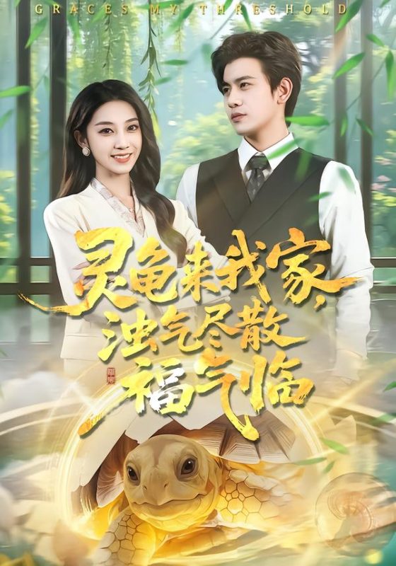 《灵龟来我家，浊气尽散福气临》-VIP部落
