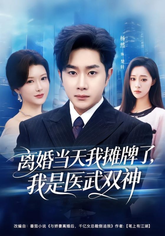 《离婚当天我摊牌了，我是医武双神》-VIP部落