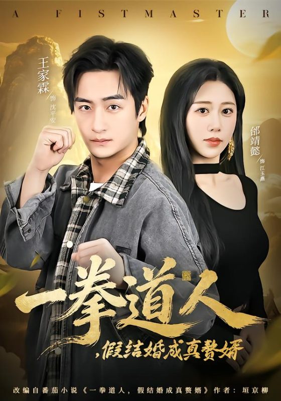 《一拳道人，假结婚成真赘婿》-VIP部落