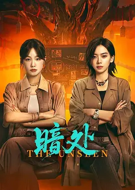 《暗处》-VIP部落