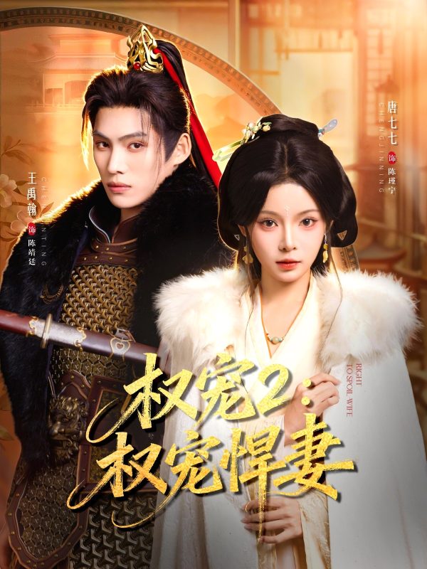 《权宠2：权宠悍妻》-VIP部落