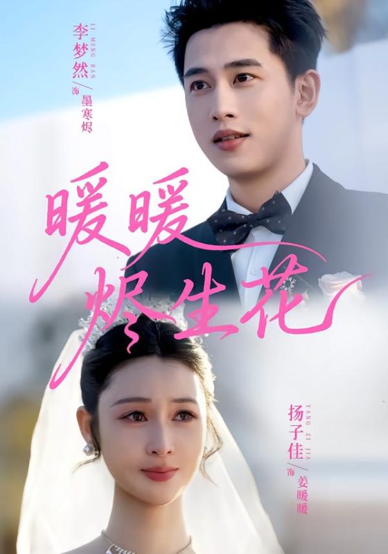 《暖暖烬生花》-VIP部落