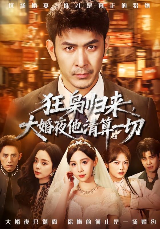 《狂枭归来，大婚夜他清算一切》-VIP部落