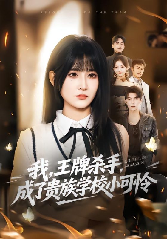 《我，王牌杀手，成了贵族学校小可怜》-VIP部落