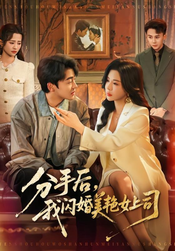 《分手后，我闪婚美艳女上司》-VIP部落