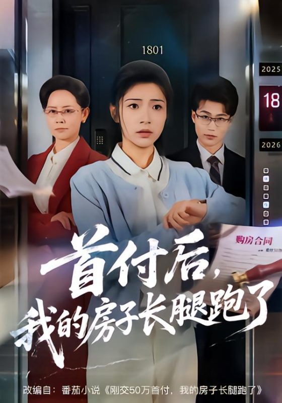 《首付后，我的房子长腿跑了》-VIP部落