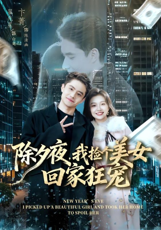 《除夕夜，我捡个美女回家狂宠》-VIP部落