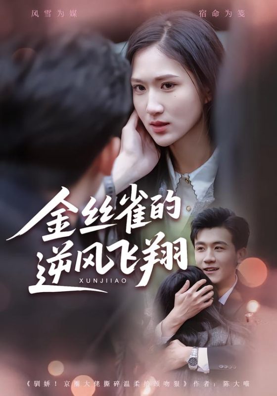 《金丝雀的逆风飞翔》-VIP部落