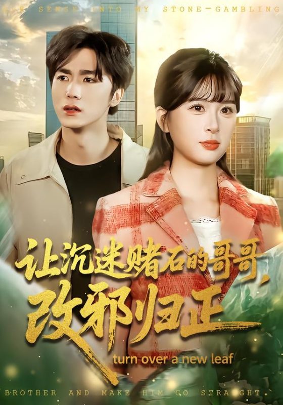 《让沉迷赌石的哥哥，改邪归正》-VIP部落