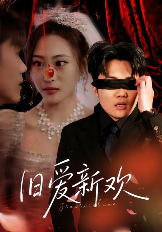 《旧爱新欢》-VIP部落