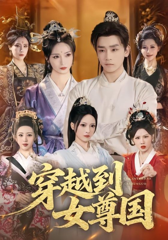 《穿越到女尊国》-VIP部落