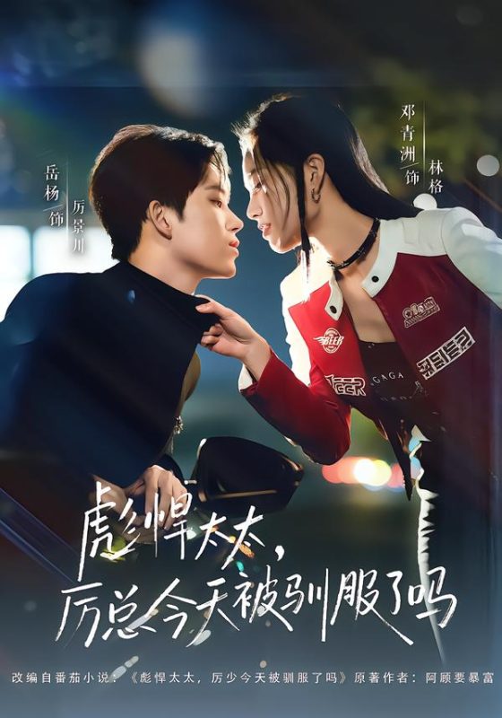 《彪悍太太，厉总今天被驯服了吗》-VIP部落