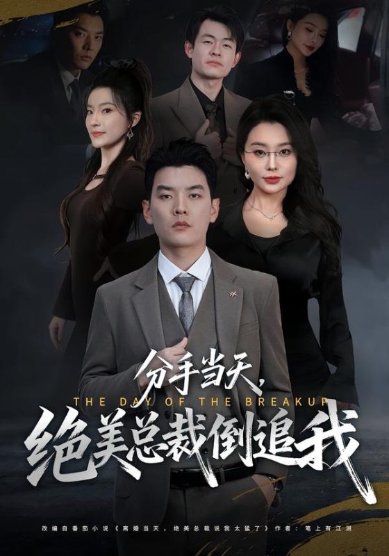 《分手当天，绝美总裁倒追我》-VIP部落