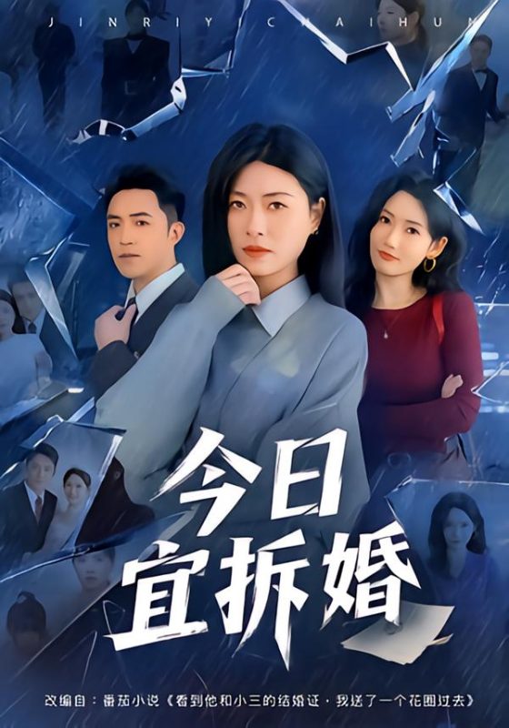 《今日宜拆婚》-VIP部落