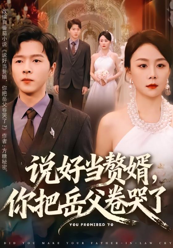 《说好当赘婿，你把岳父卷哭了》-VIP部落