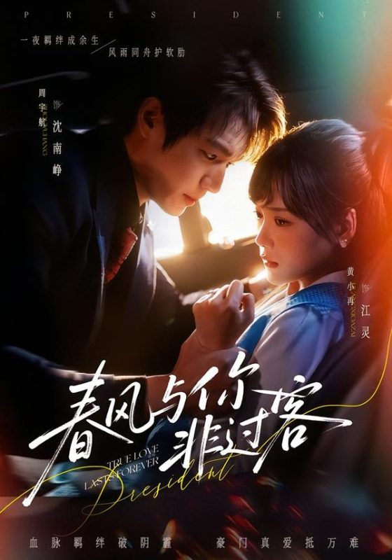 《春风与你非过客》-VIP部落