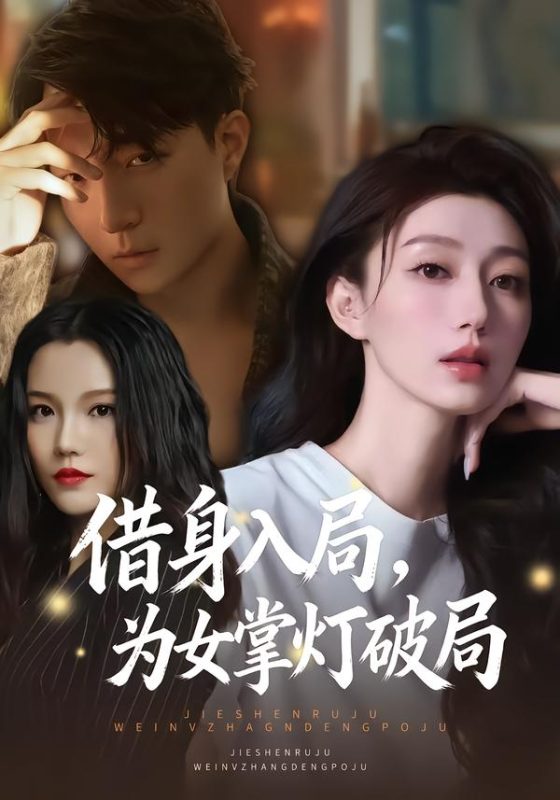 《借身入局，为女掌灯破局》-VIP部落