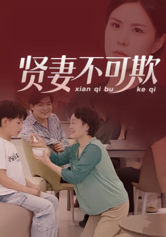 《贤妻不可欺》-VIP部落
