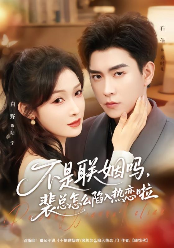 《不是联姻吗，裴总怎么陷入热恋啦》-VIP部落