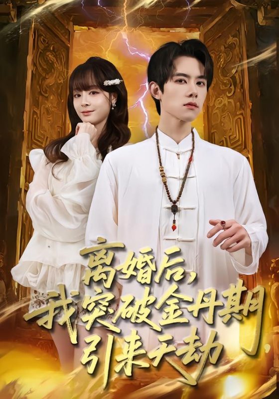 《离婚后，我突破金丹期，引来天劫》-VIP部落