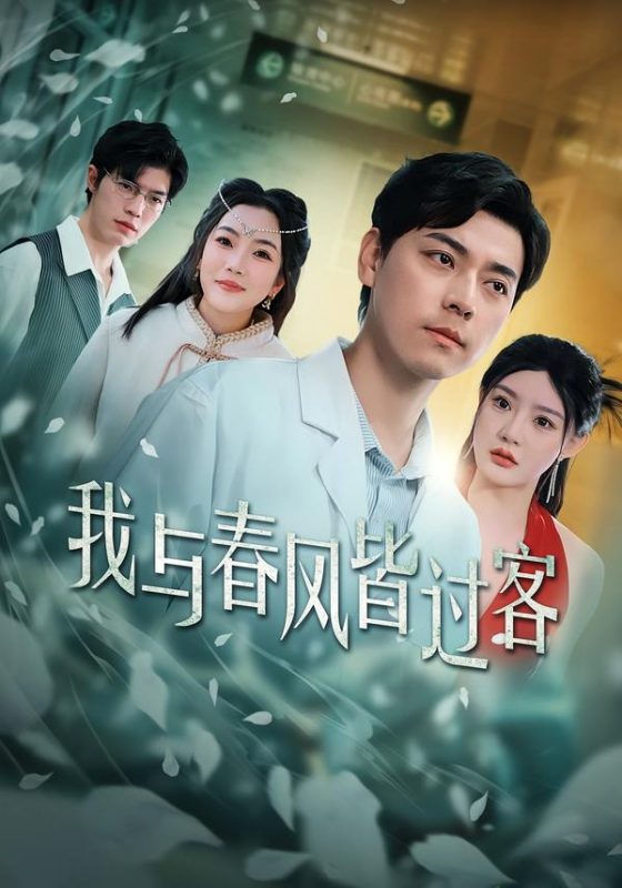 《我与春风皆过客》-VIP部落