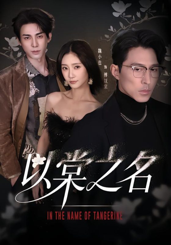 《以棠之名》-VIP部落