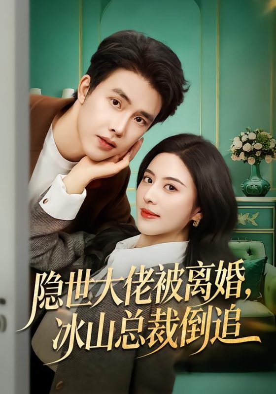 《隐世大佬被离婚，冰山总裁倒追》-VIP部落