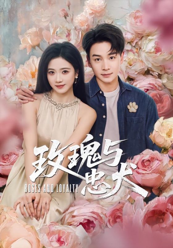 《玫瑰与忠犬》-VIP部落