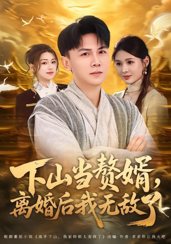《下山当赘婿，离婚后我无敌了》-VIP部落