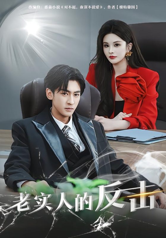 《老实人的反击》-VIP部落