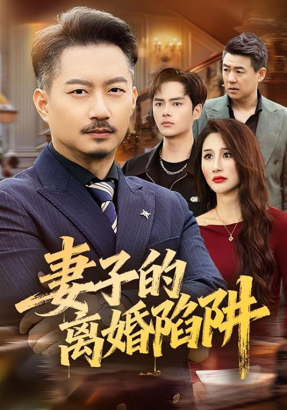 《妻子的离婚陷阱》-VIP部落
