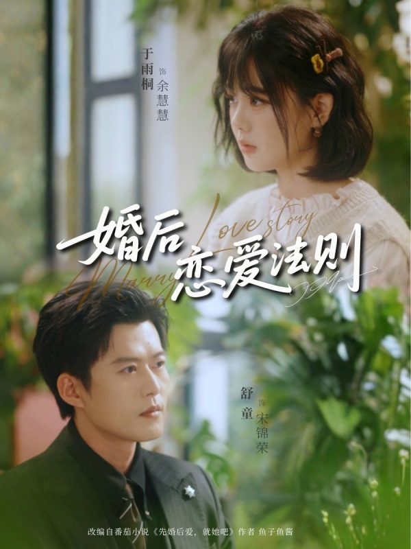 《婚后恋爱法则》-VIP部落