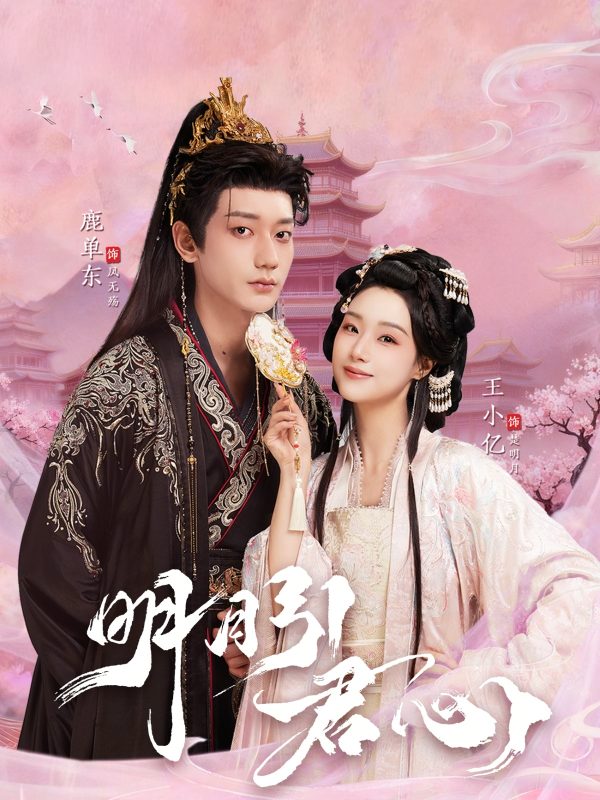 《明月引君心》-VIP部落