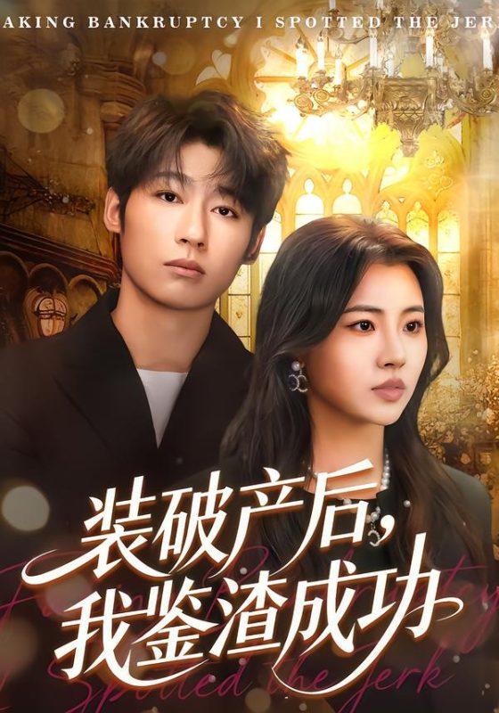 《装破产后，我鉴渣成功》-VIP部落