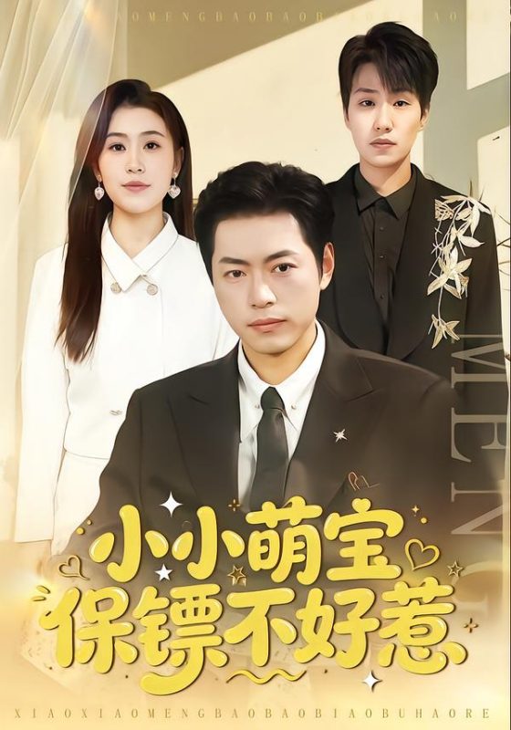 《小小萌宝保镖不好惹》-VIP部落