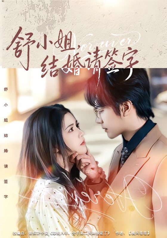 《舒小姐，结婚请签字》-VIP部落