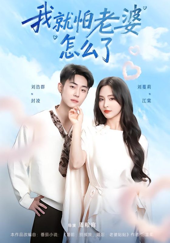 《我就怕老婆怎么了》-VIP部落