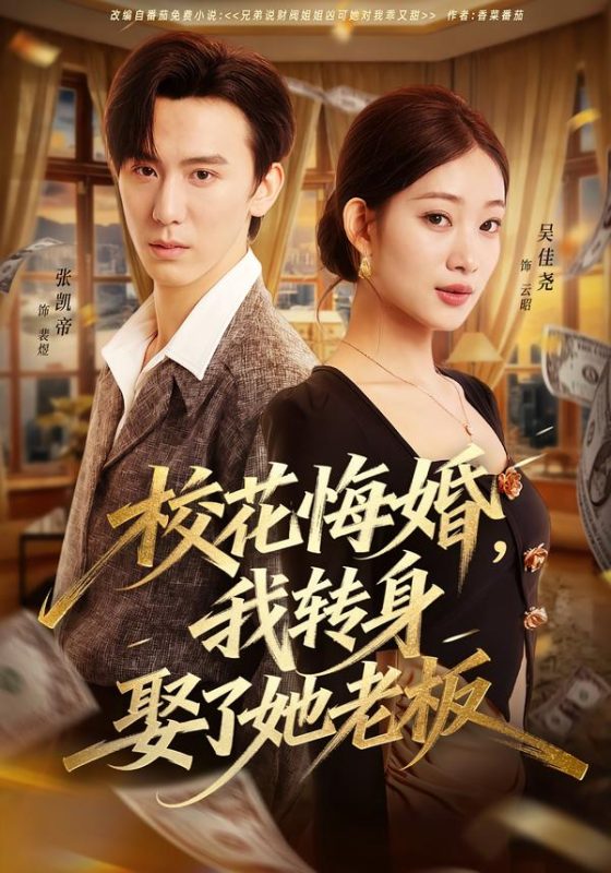 《校花悔婚，我转身娶了她老板》-VIP部落