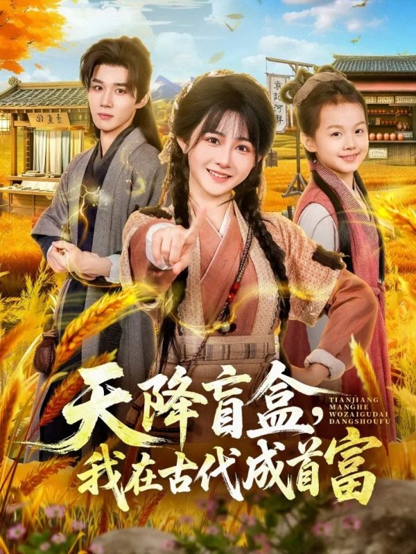 《天降盲盒，我在古代成首富》-VIP部落