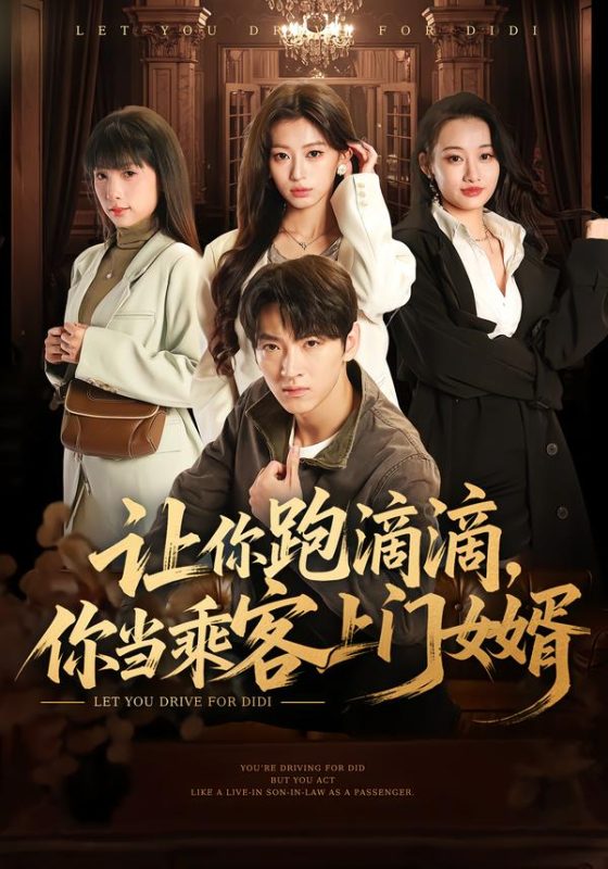 《让你跑滴滴，你当乘客上门女婿》-VIP部落