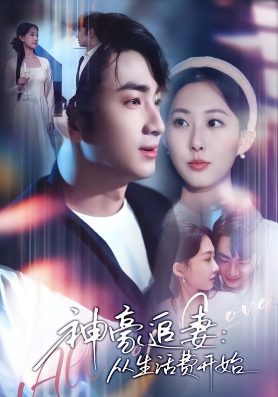 《神豪追妻：从生活费开始》-VIP部落