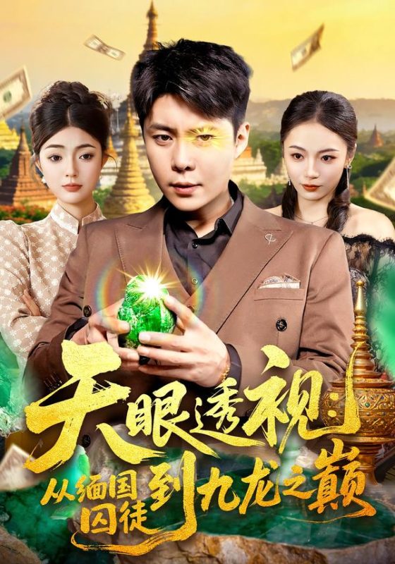 《天眼透视：从缅国囚徒到九龙之巅》-VIP部落