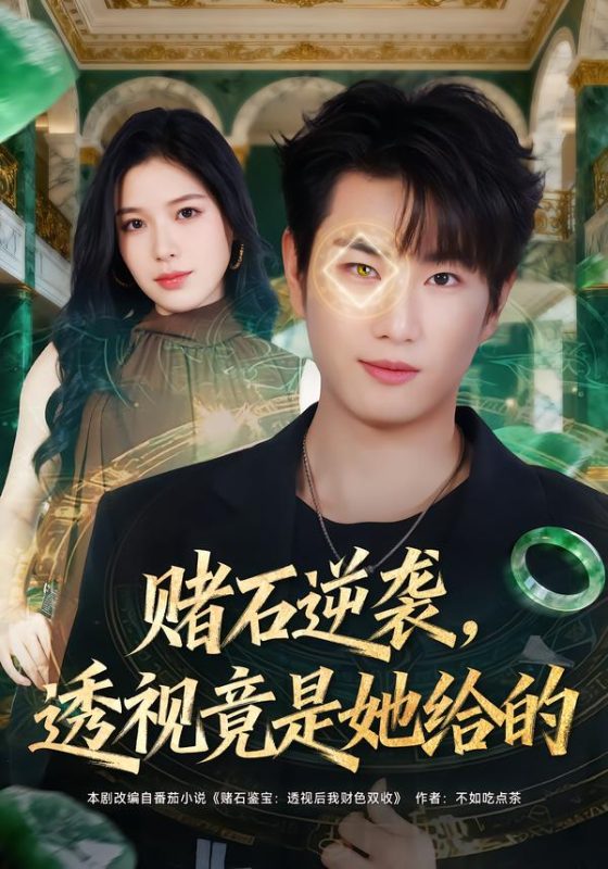 《赌石逆袭，透视竟是她给的》-VIP部落
