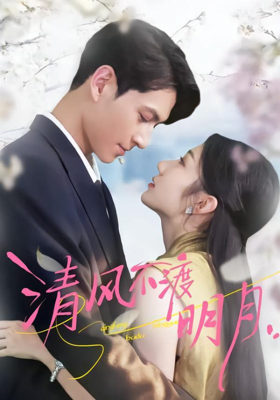 《清风不渡明月》-VIP部落