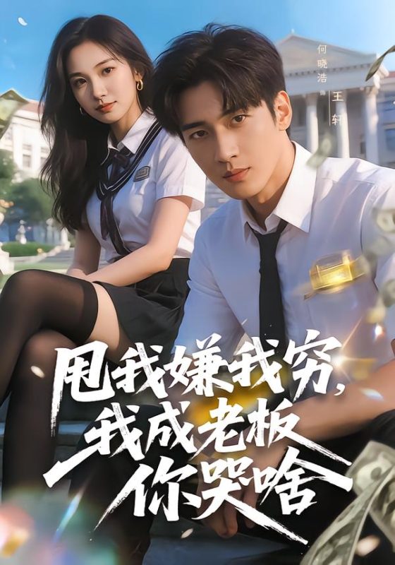《甩我嫌我穷，我成老板你哭啥》-VIP部落