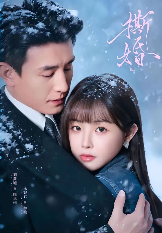 《撕婚2026》-VIP部落