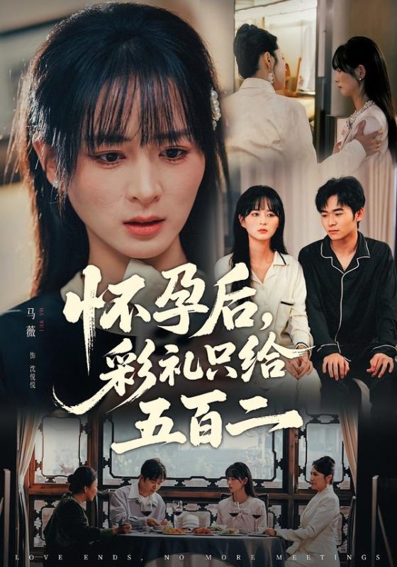 《怀孕后，彩礼只给五百二》-VIP部落